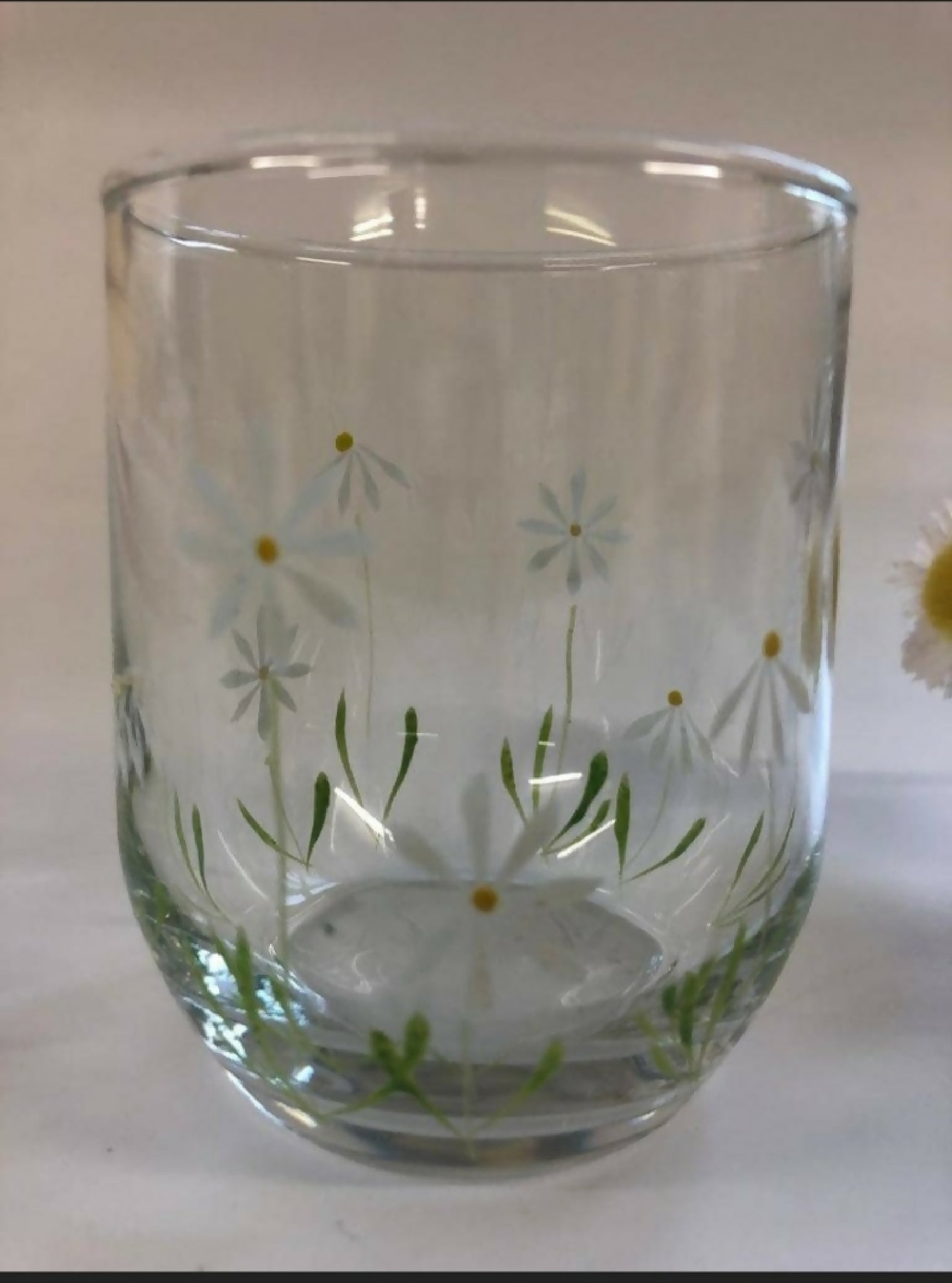 Hand Painted Tumbler Spring Daisy Design