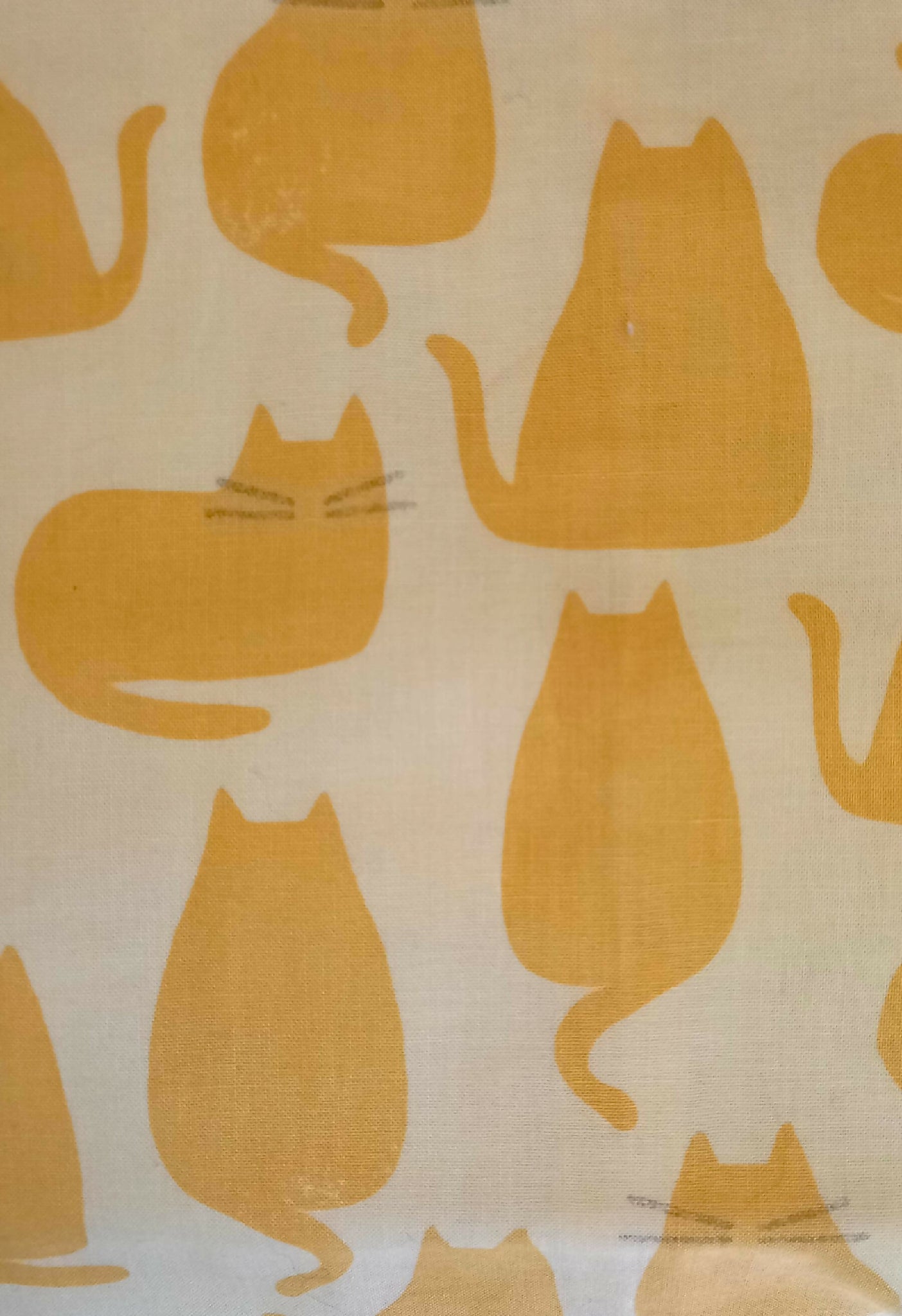 Infinity Scarf with Yellow and Grey Cats