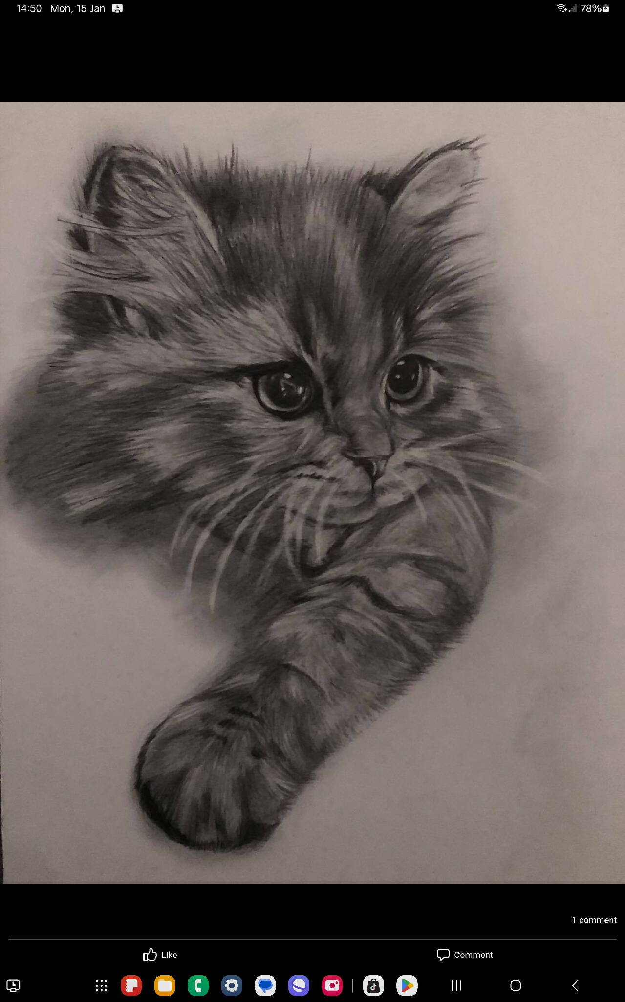 Graphite custom pet portrait drawing sketch