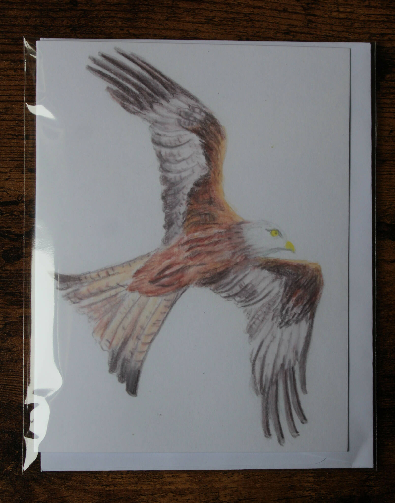 Red Kite