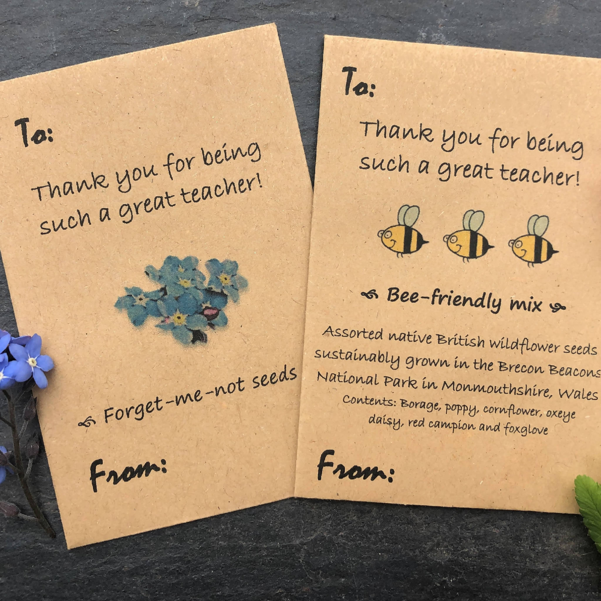 Teachers Gifts, Teachers Presents, Thank you seeds, Thank You Presents, Thank you gifts, forget-me-not seeds, wildflowers seeds, seed gifts, teachers seeds