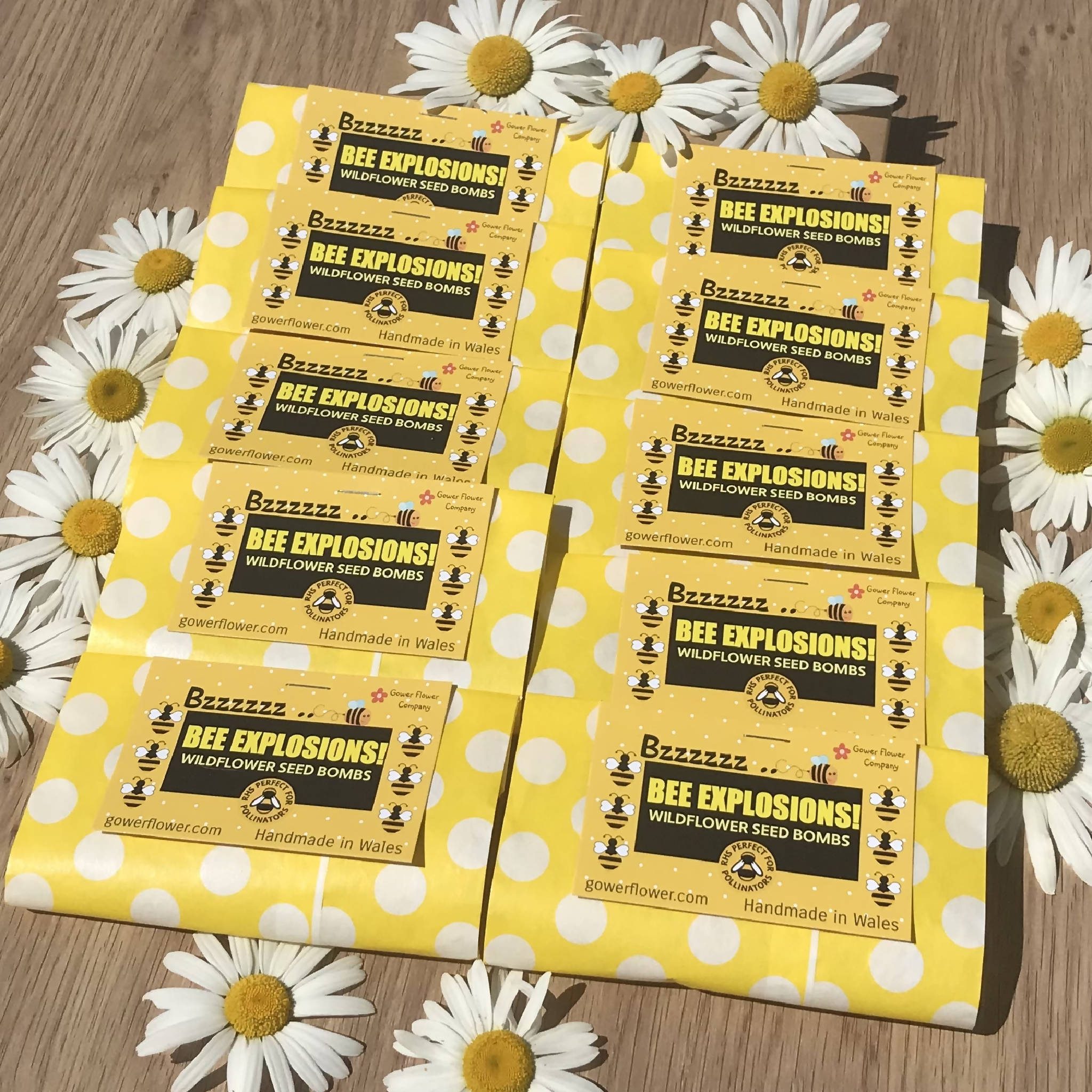 Bee Explosion Seed Bomb Party Pack - 1, 5 or 10 packs available. Each packet has 4 seed bombs inside and a product card/instructions