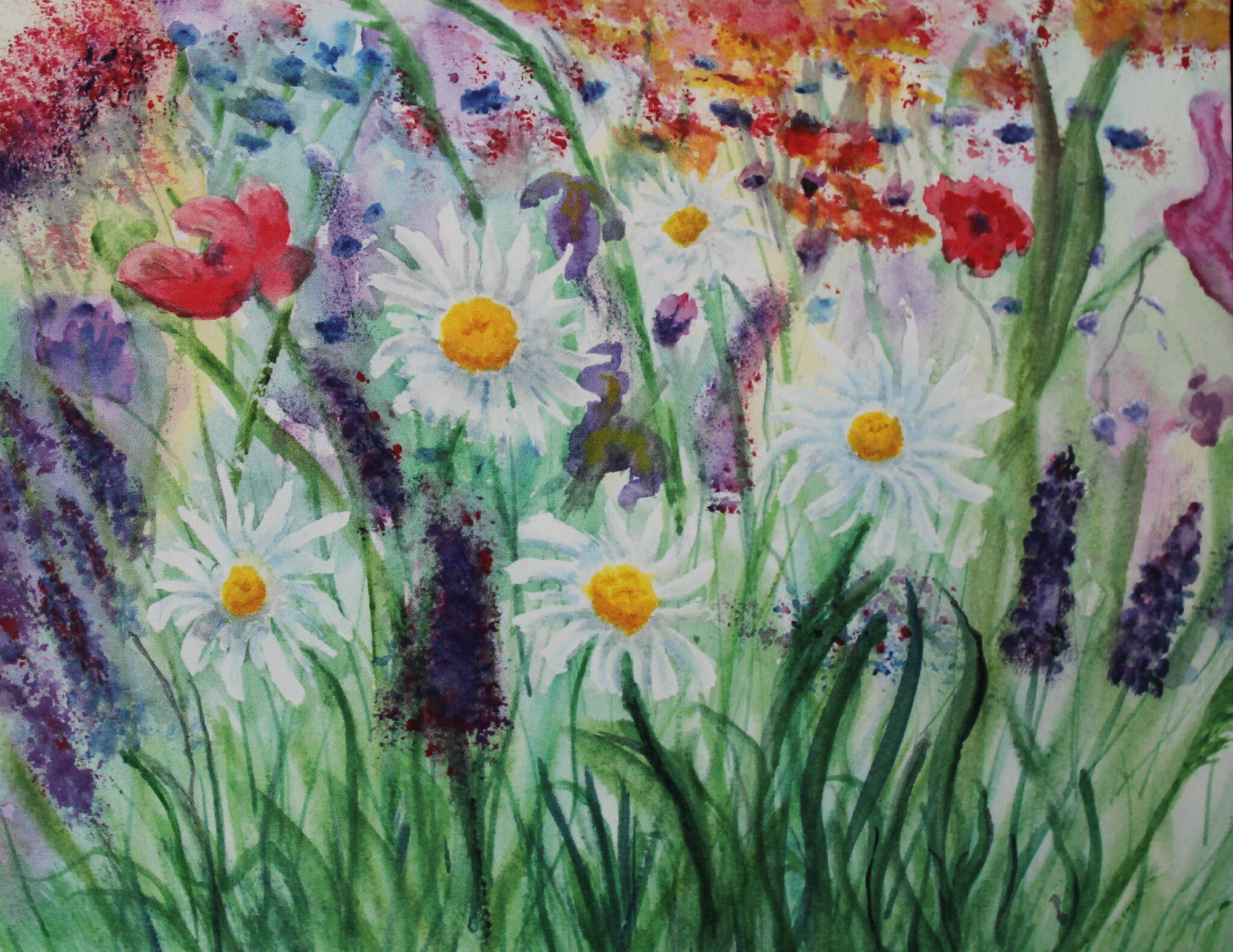 Wildflower Meadow