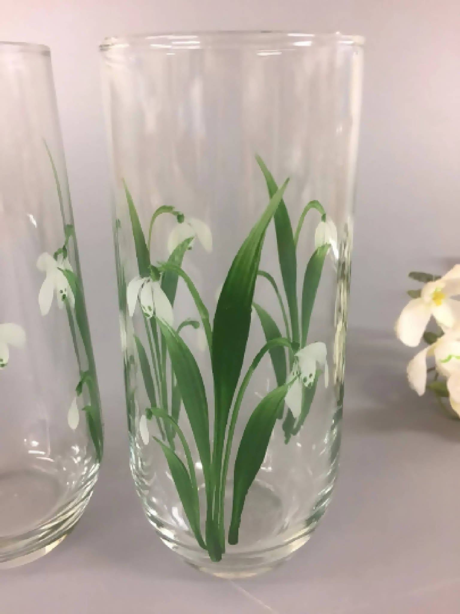 Pair of Hand Painted Hi-ball Glasses Snowdrop Design