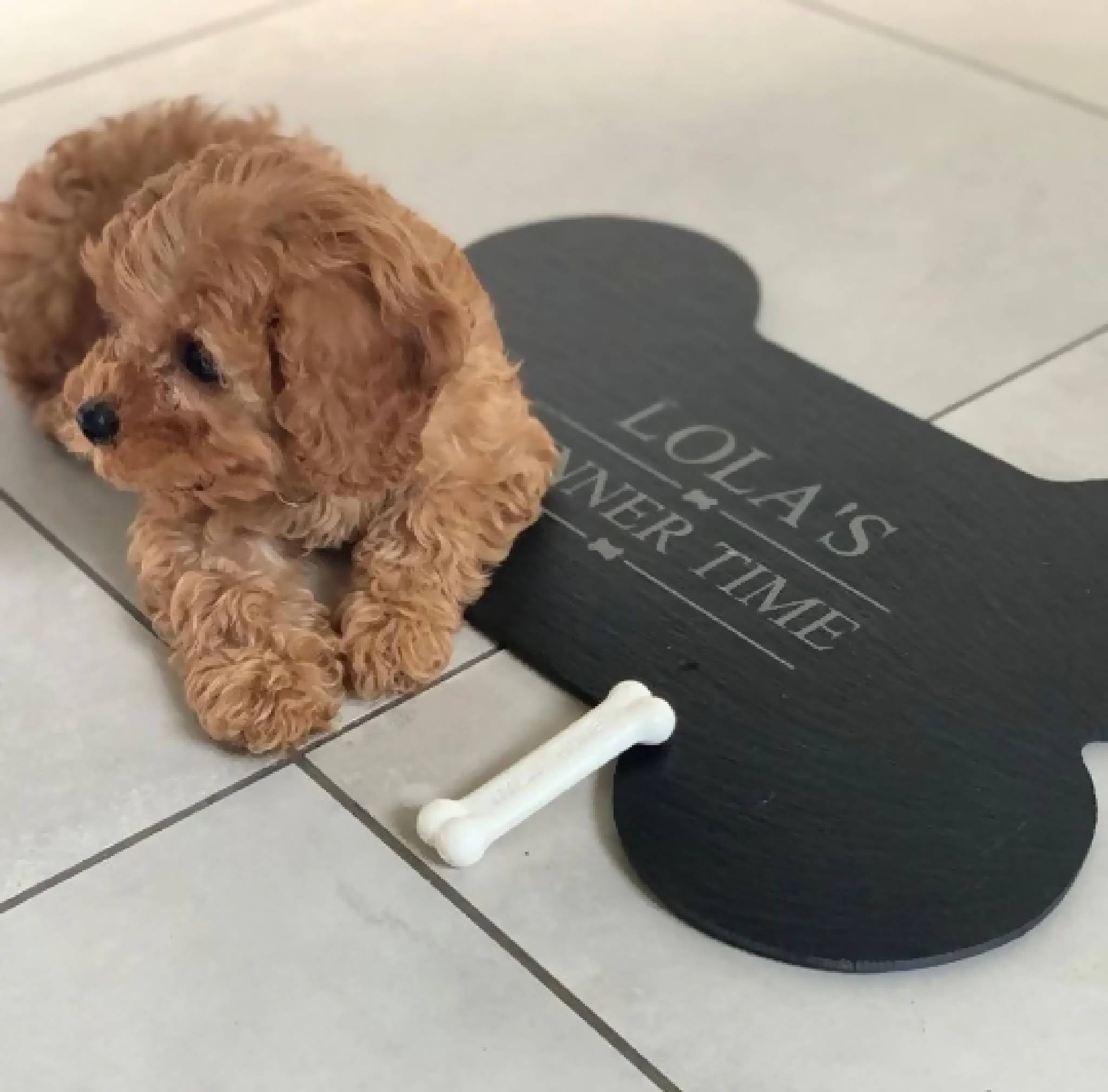 Personalised Slate Bone Shaped Food Mat