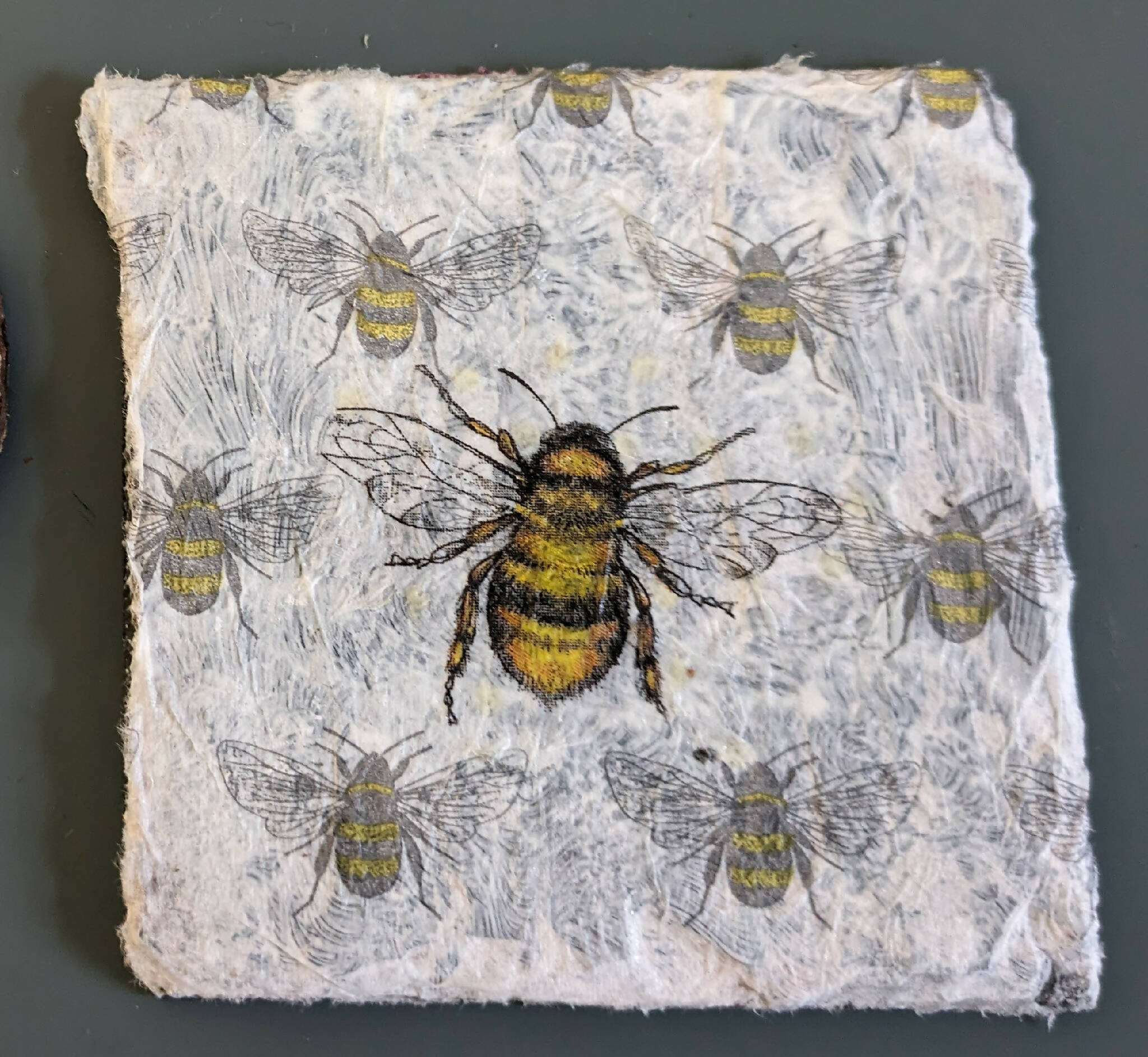 Bee coaster