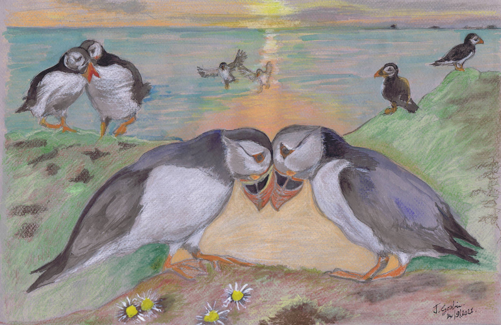 Puffin Love on Skomer A5 Greeting Card