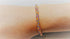 Rainbow Bracelets wrist close