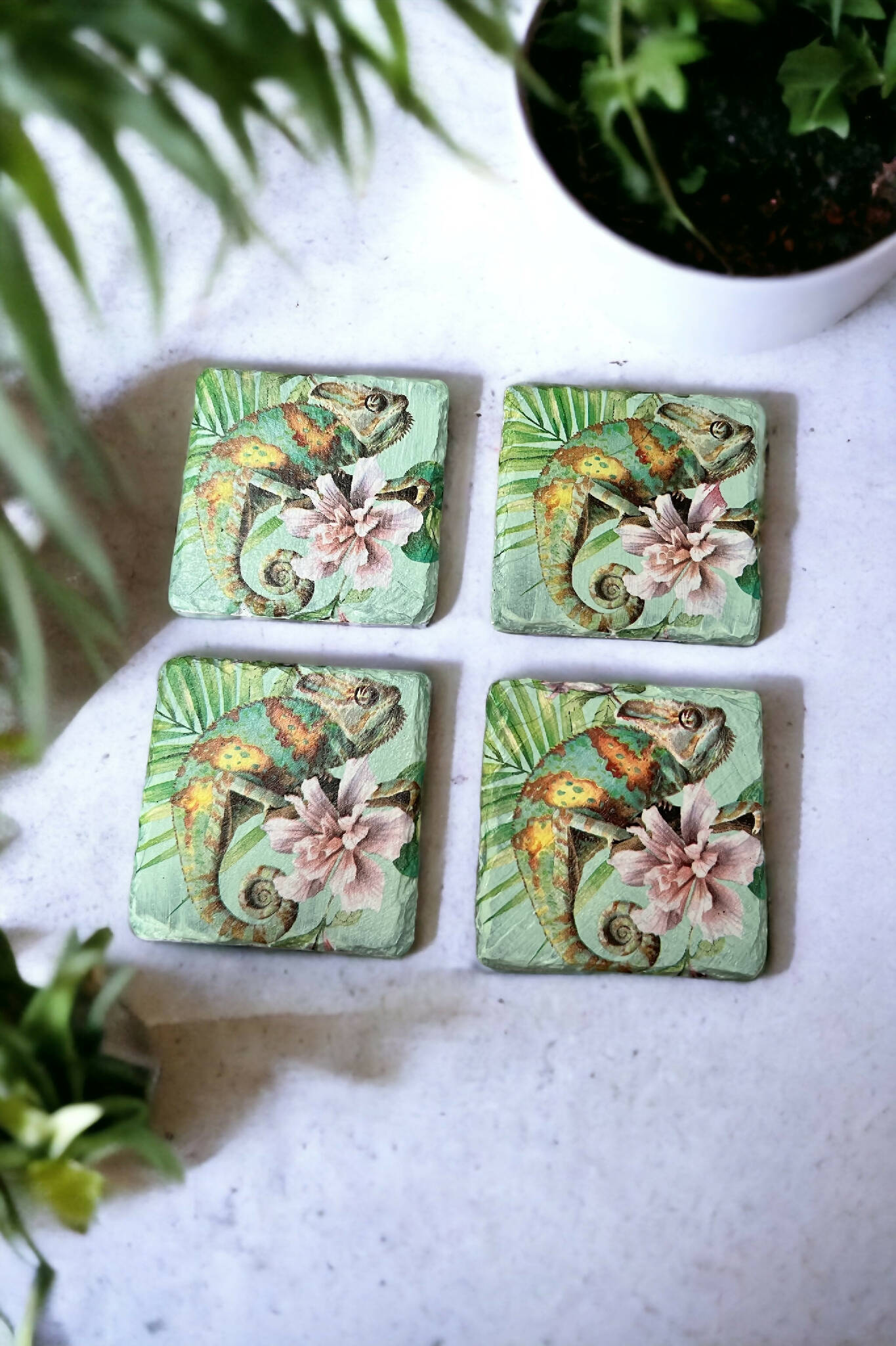 Chameleon slate coasters