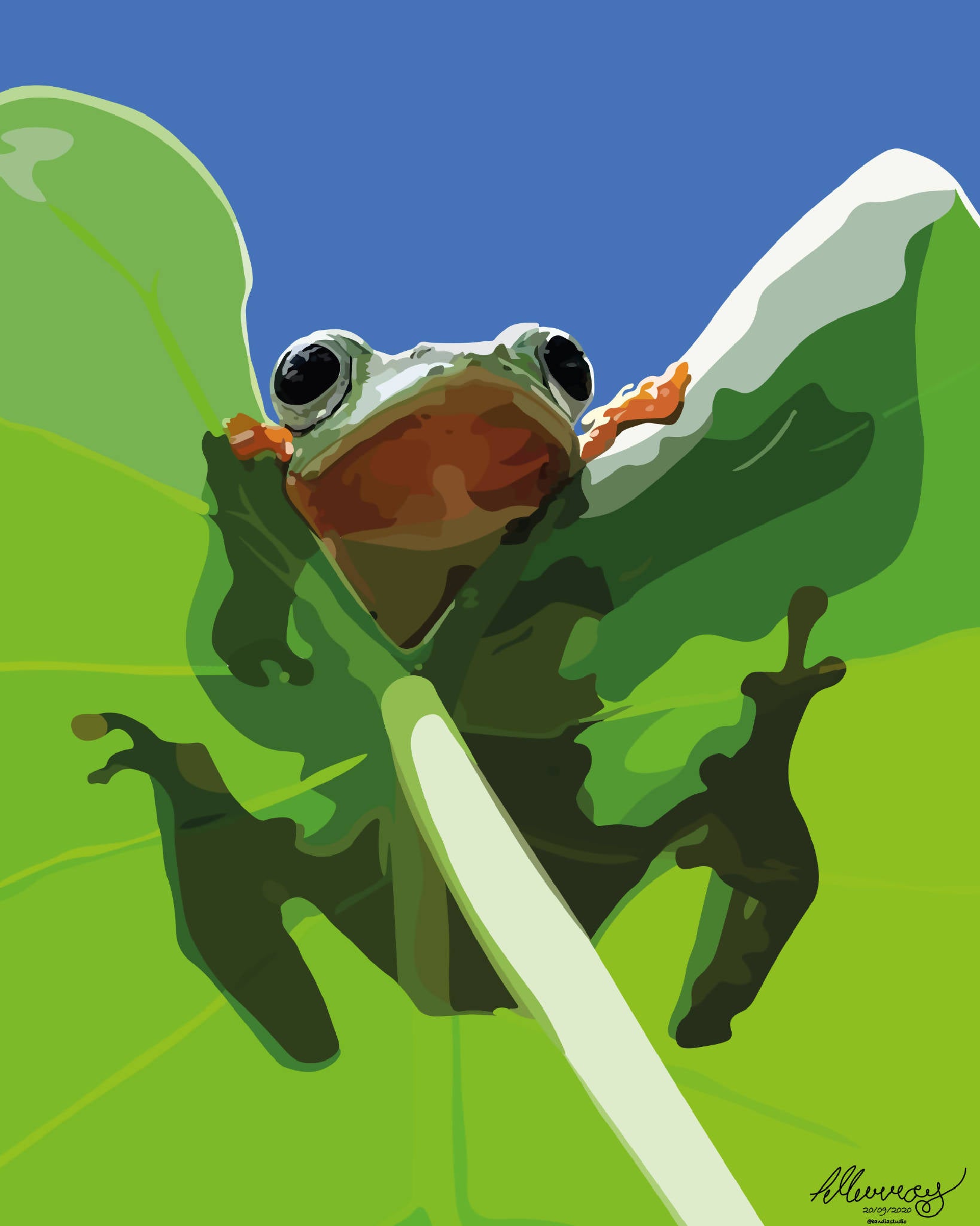 Frog Poster | Digital Art Print | Christmas Gift Idea Illustration