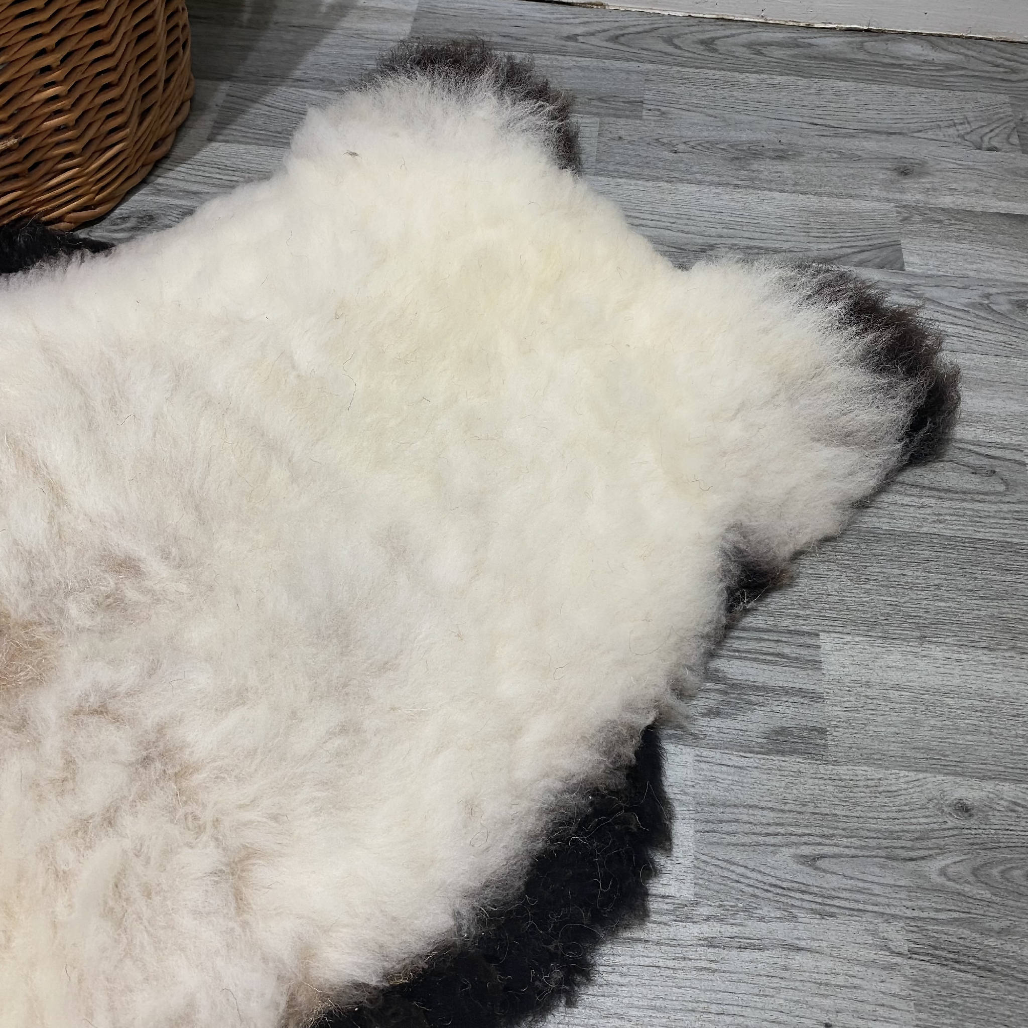 Badger Face Sheepskin Rug