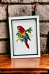 Parrot picture quilled