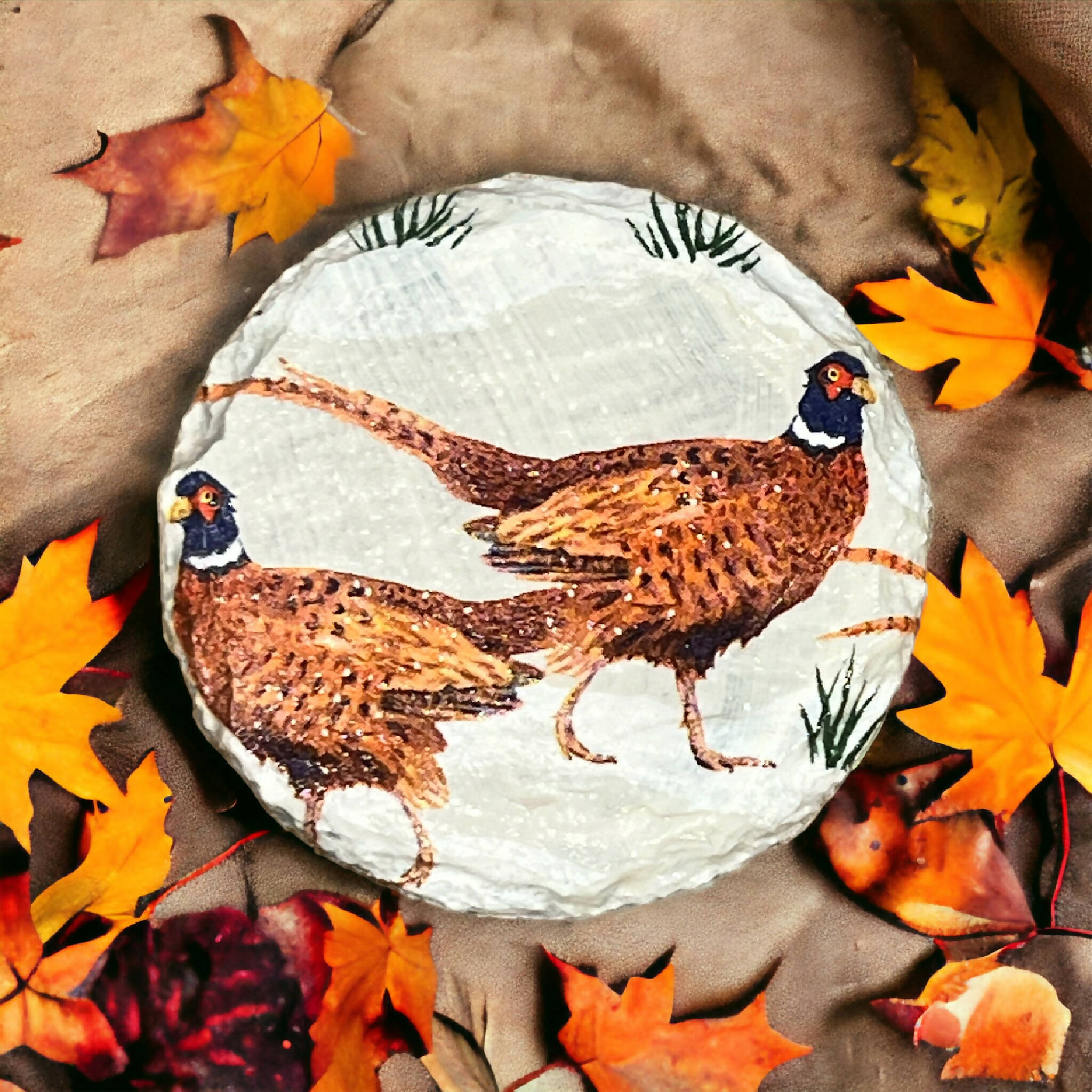 Beautiful pheasant slate coasters, drink coasters, stocking fillers