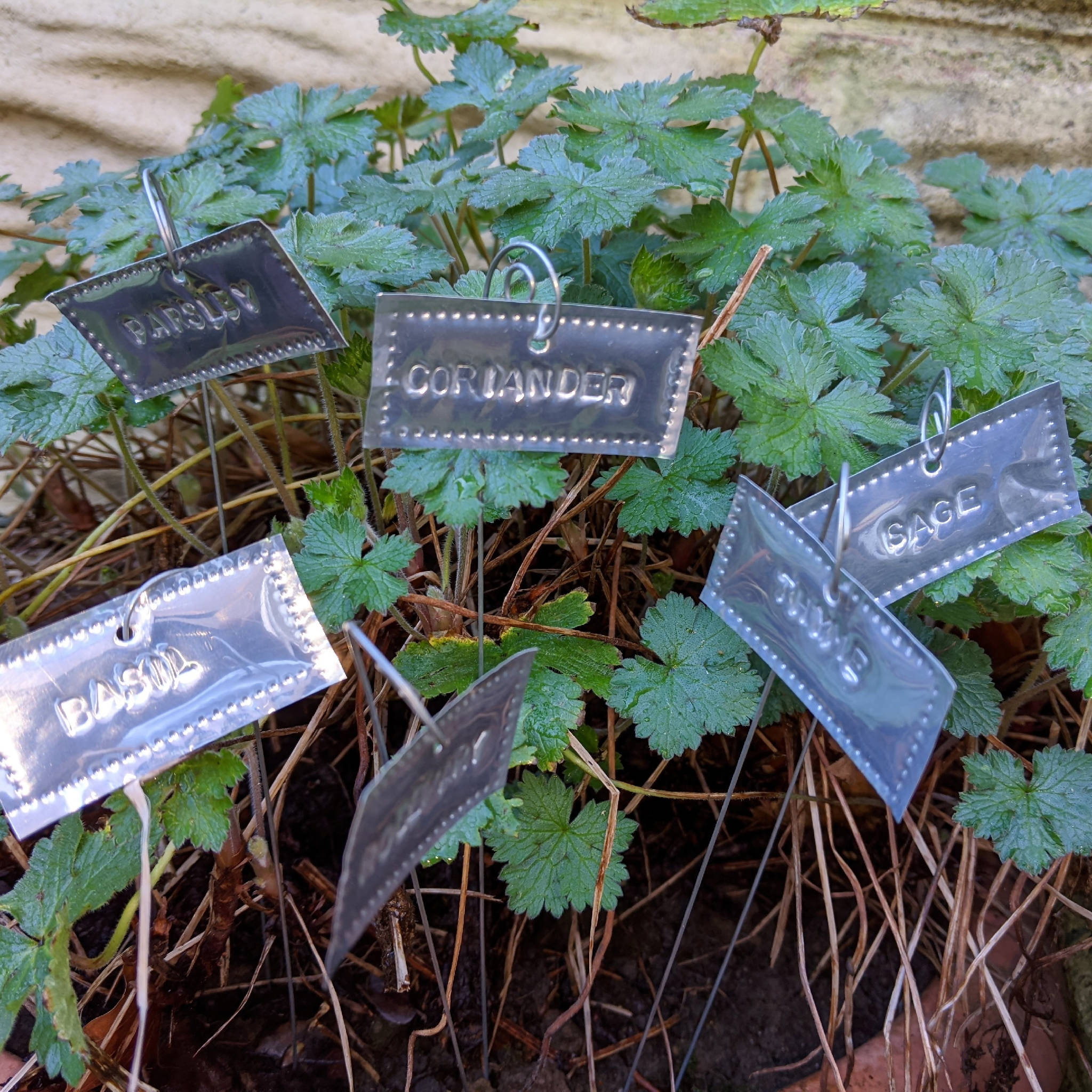 Herb labels