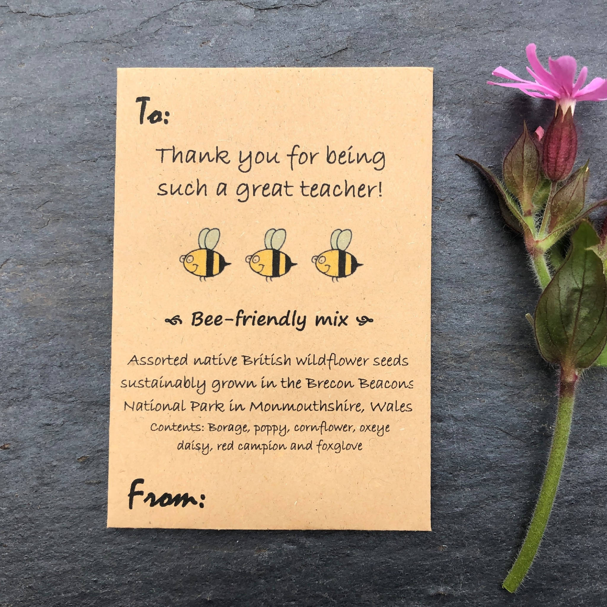 Teachers Gifts, Teachers Presents, Thank you seeds, Thank You Presents, Thank you gifts, forget-me-not seeds, wildflowers seeds, seed gifts, teachers seeds