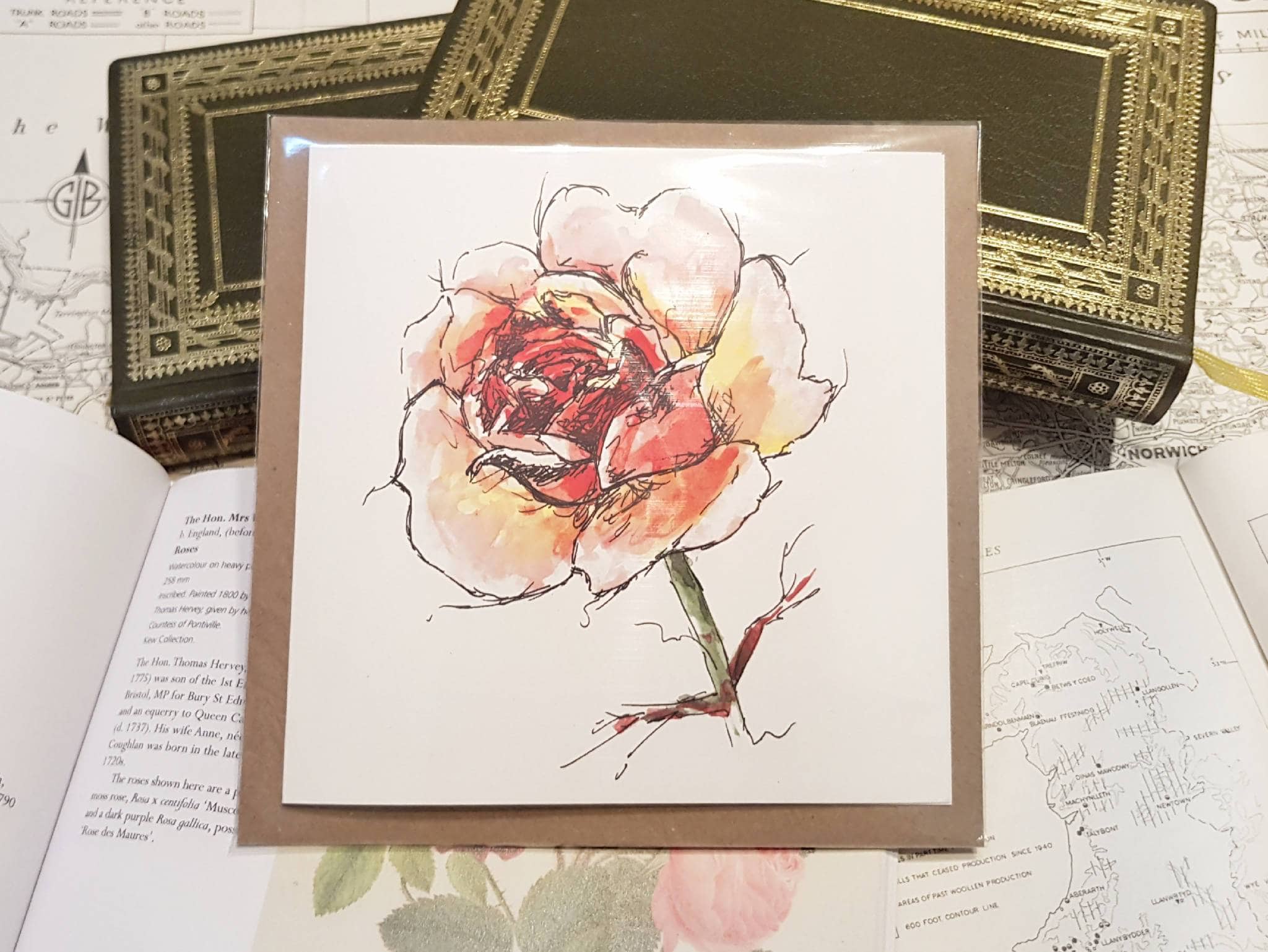 Greetings card of watercolour print of a large rose