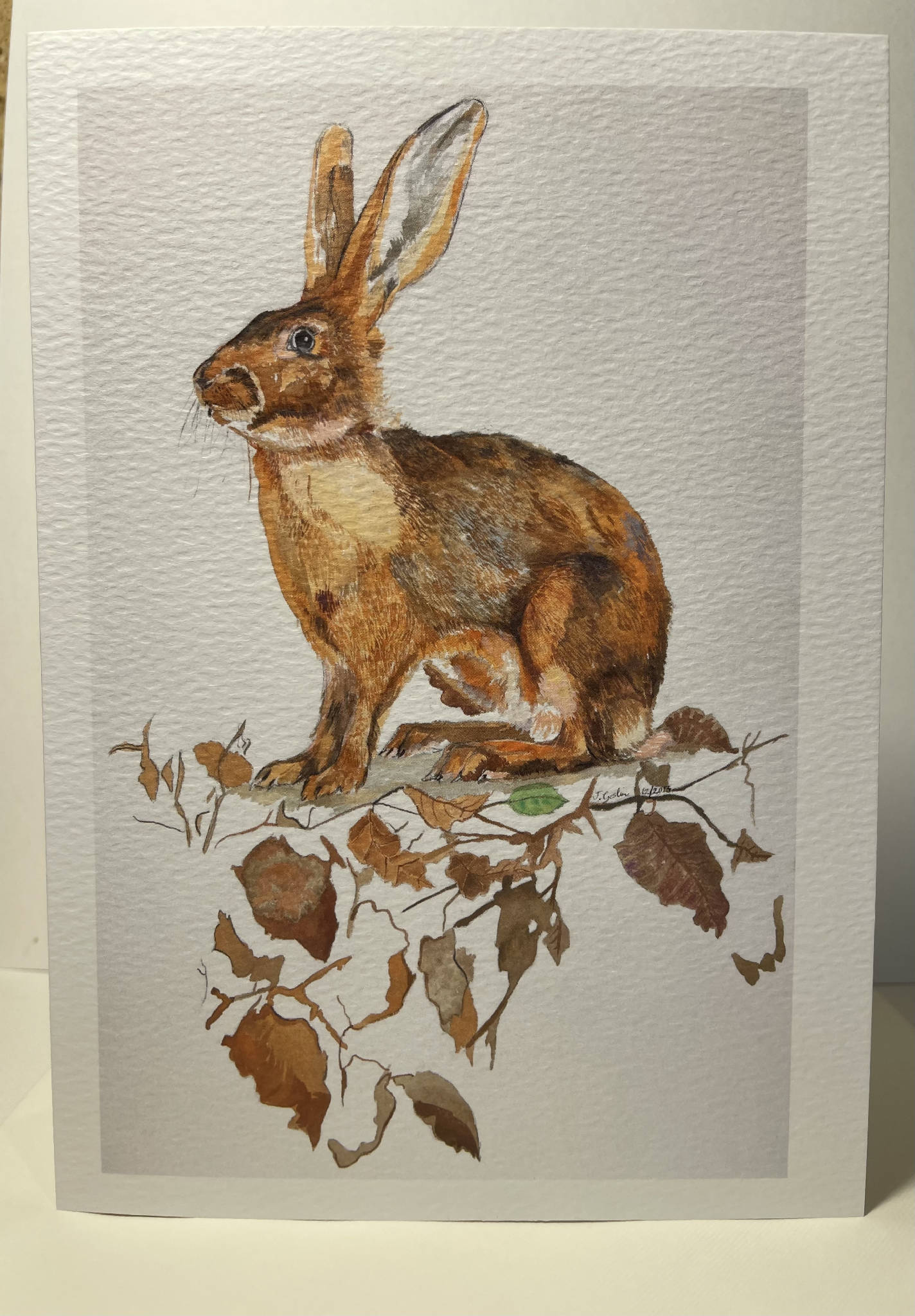 Mad March Hare A5 Blank Greeting Card