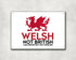 Welsh Not British Definitely Not English | Aluminium Printed Metal Street Sign