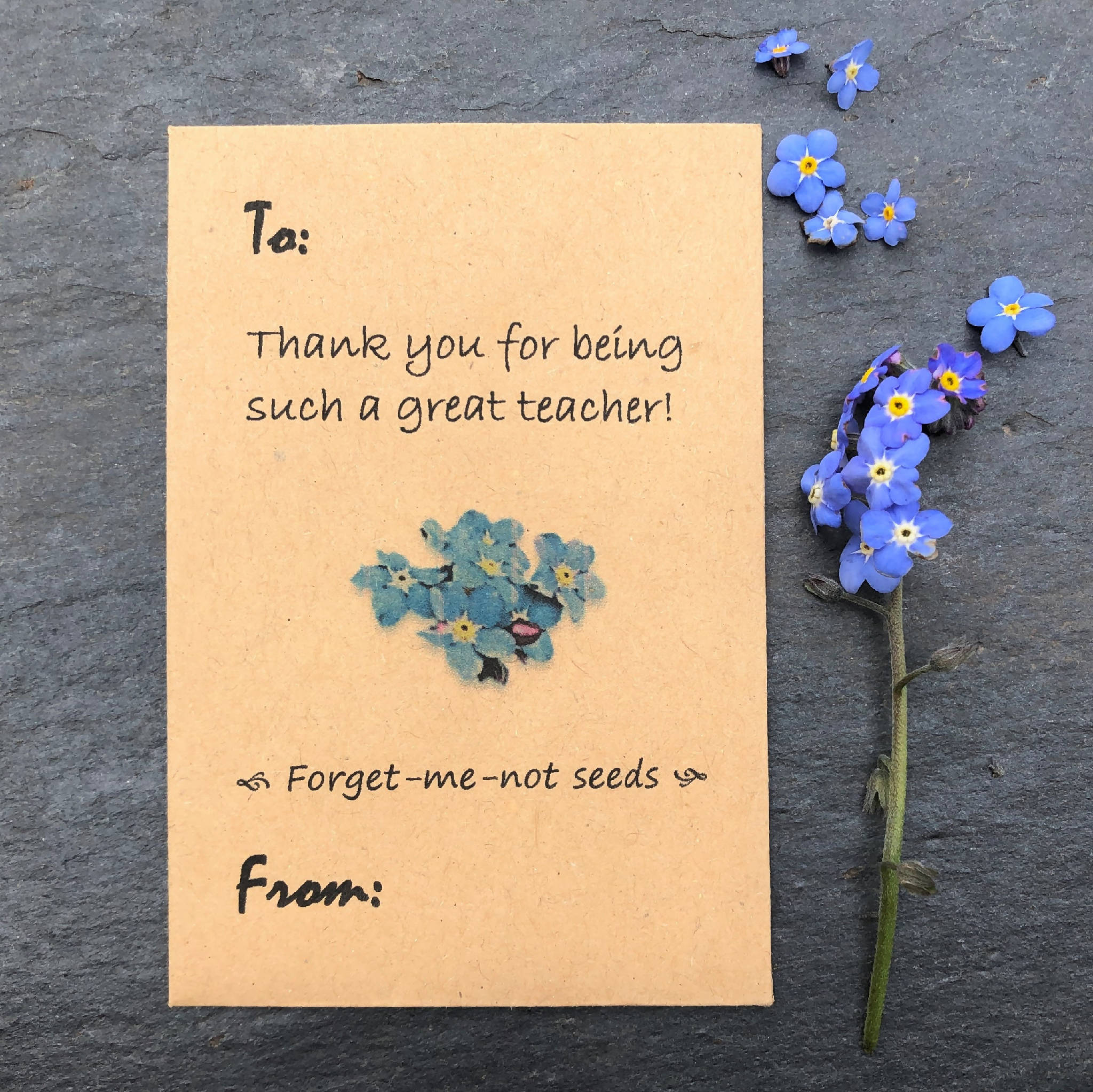 Teachers Gifts, Teachers Presents, Thank you seeds, Thank You Presents, Thank you gifts, forget-me-not seeds, wildflowers seeds, seed gifts, teachers seeds