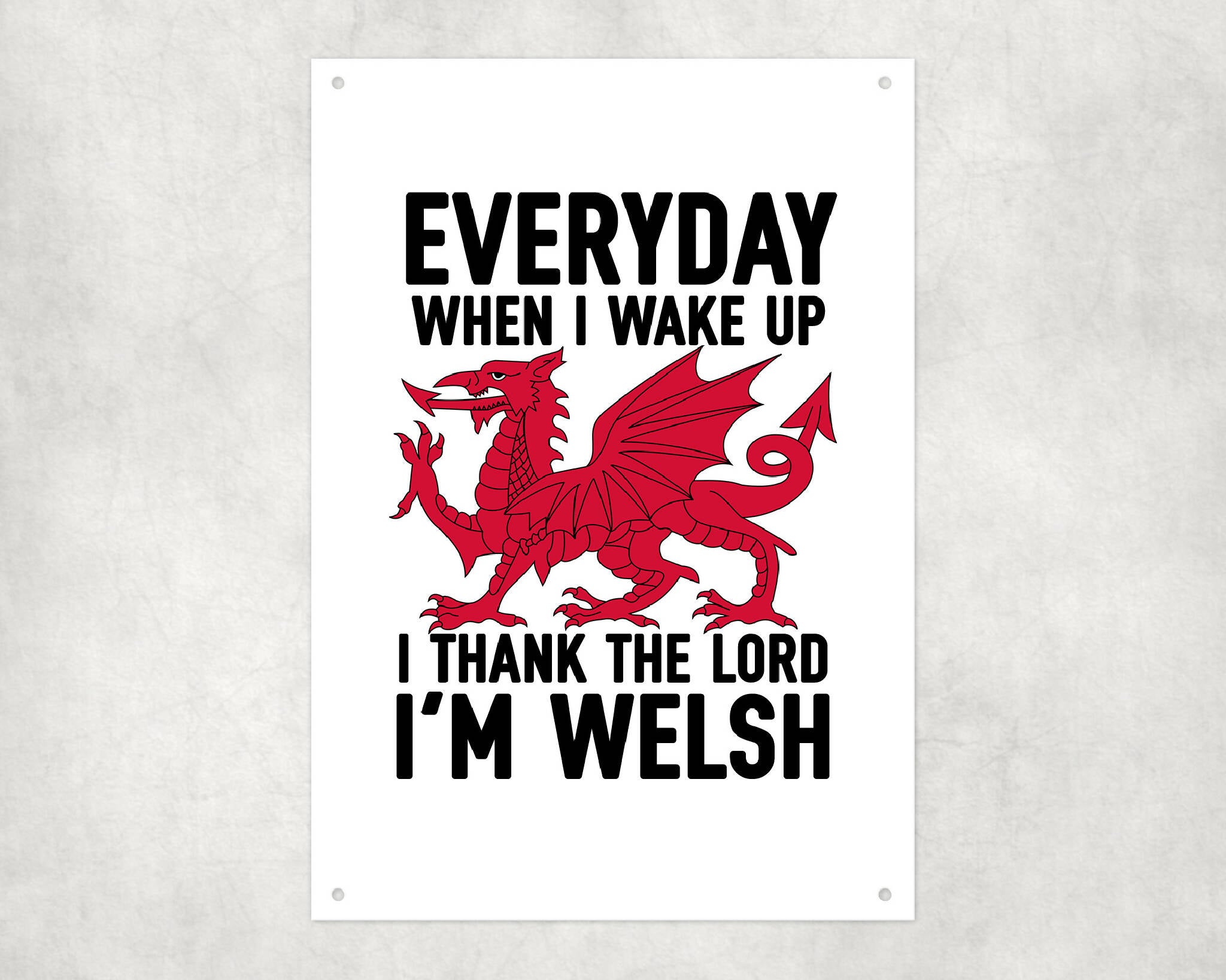 Thank The Lord I'm Welsh Sign | Aluminium Printed Metal Street Sign - Gift | Keepsake | Welsh Gift | Welsh Souvenir