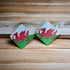 Welsh dragon slate coasters