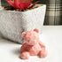 Pale Pink Jesmonite Bear