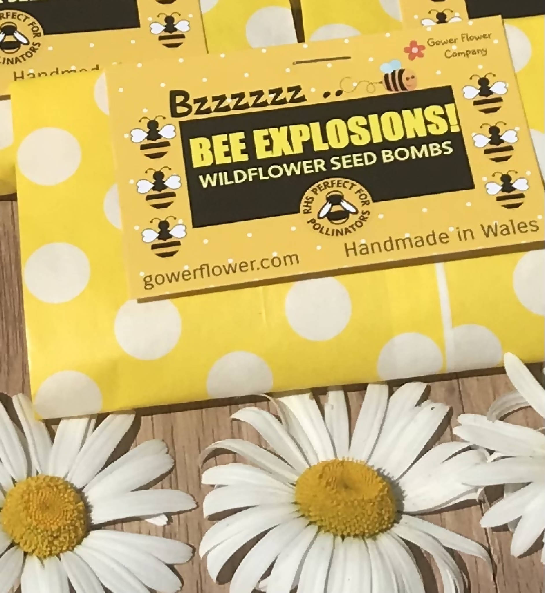 Bee Explosion Seed Bomb Party Pack - 1, 5 or 10 packs available. Each packet has 4 seed bombs inside and a product card/instructions