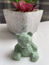 Pistachio Green Jesmonite Bear