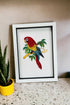 Parrot picture quilled