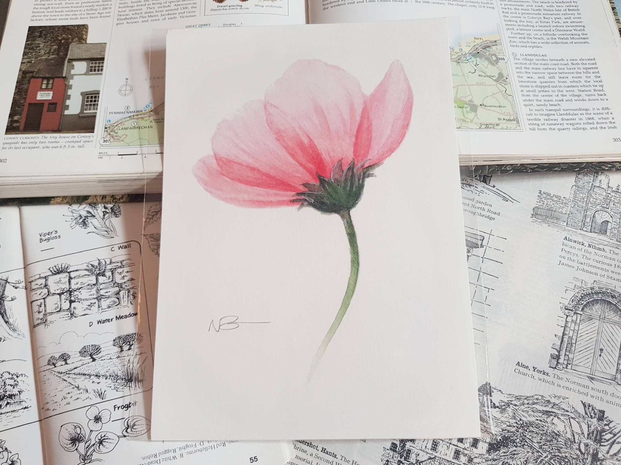 Hand-painted watercolour print of a pretty pink flower