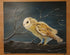 The barn owl