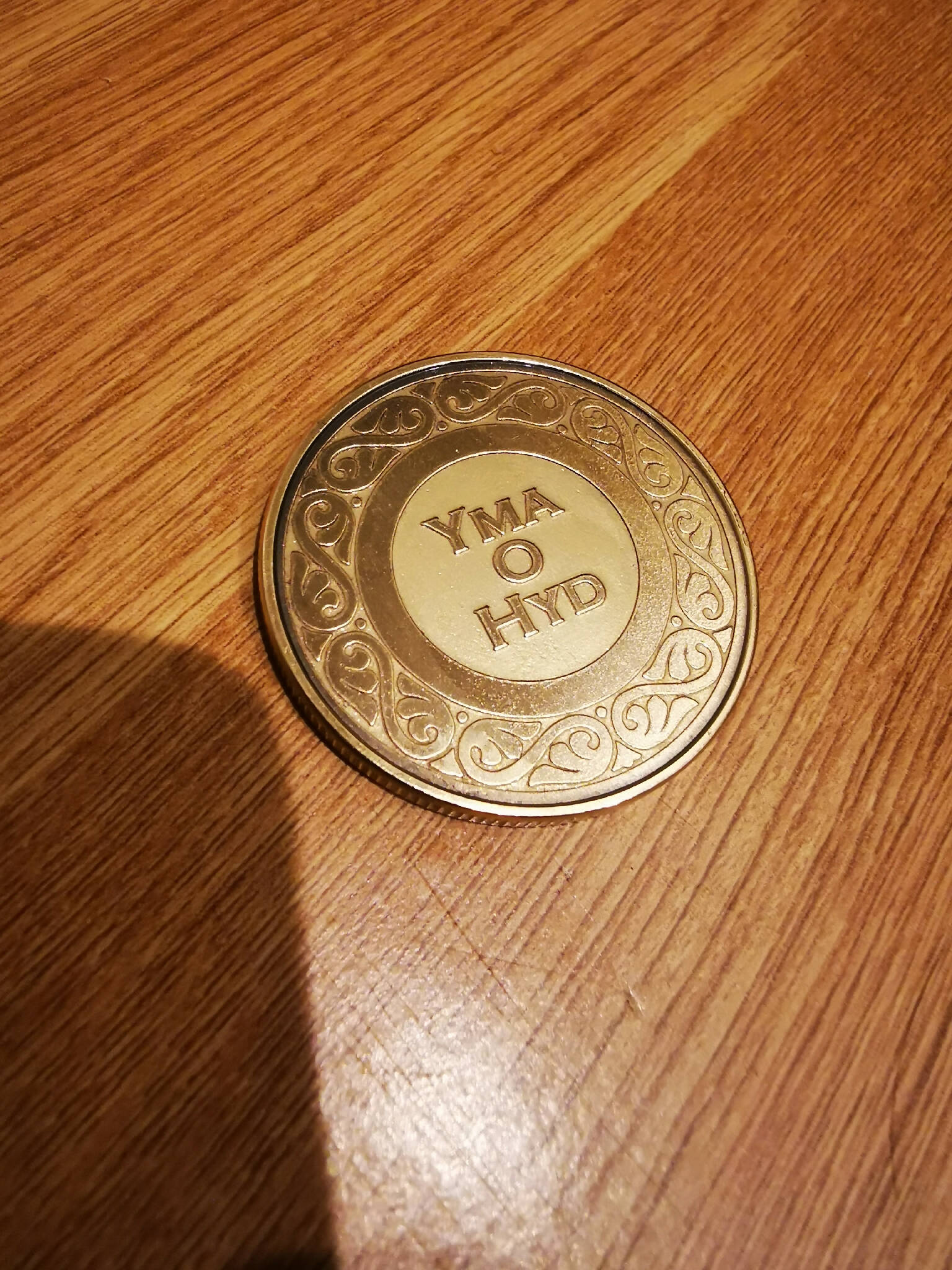 Yma O Hyd Brass 40mm coin